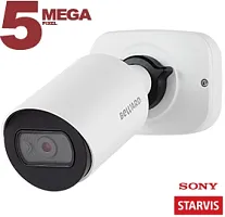 Видеокамера сетевая (IP) SV3210RCB